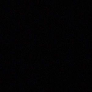 Meet your Posher, Mila